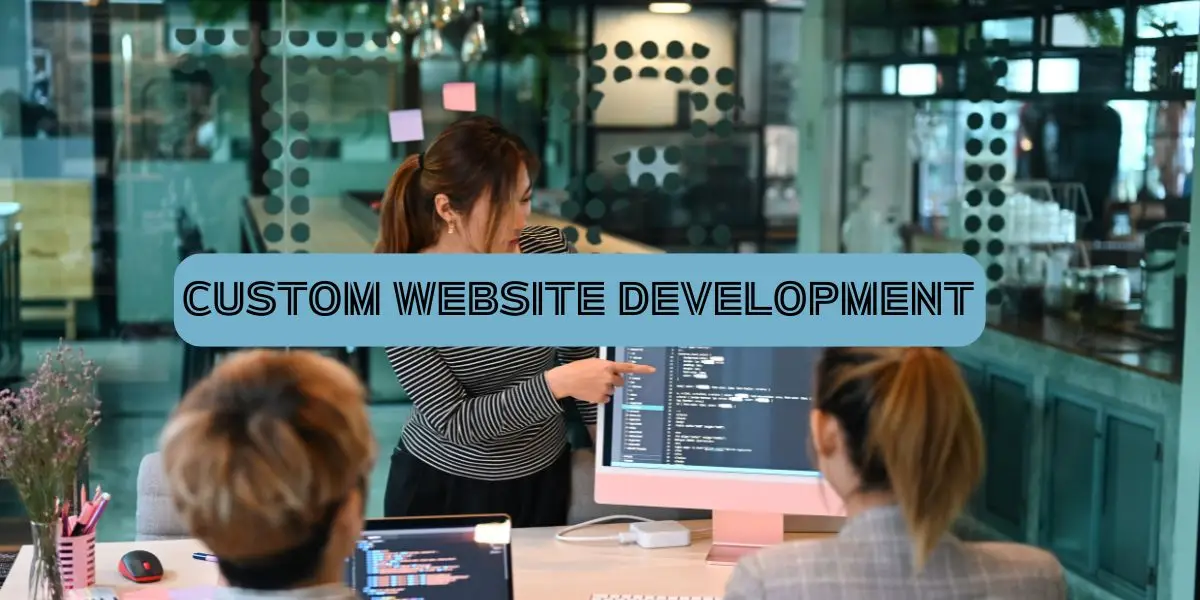 Custome Website Development